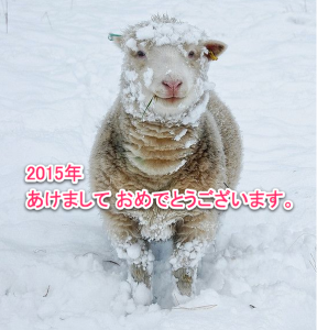 羊２